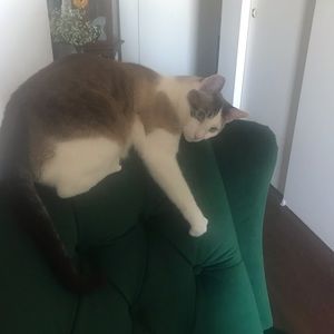 Meet your Posher, Chris